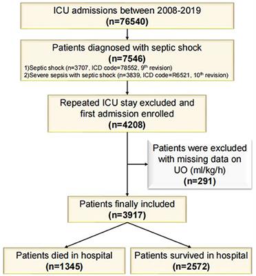 Urine Output Is Associated With In-hospital Mortality in Intensive Care Patients With Septic Shock: A Propensity Score Matching Analysis